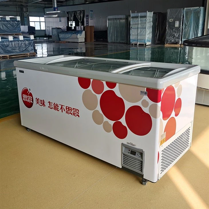 Commercial Frozen Food Freezer